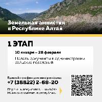 Земельная амнистия 