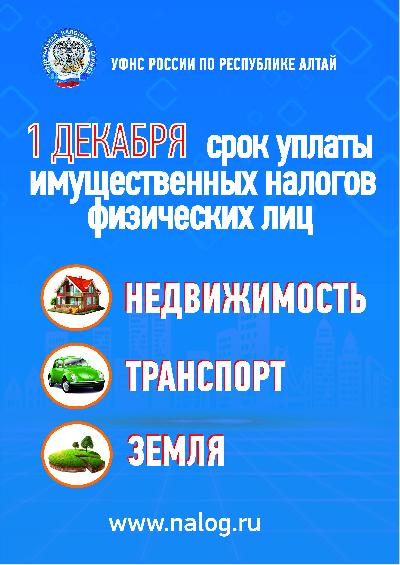 Срок уплаты имущественных налогов 1 декабря