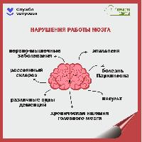 Неделя профилактики болезней мозга